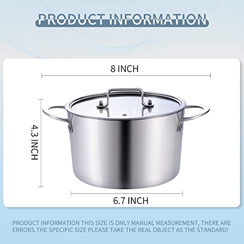 LOLYKITCH Tri-Ply Stainless Steel Stock Pot with Lid