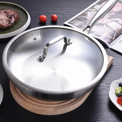 LOLYKITCH 8 Inch Tri-ply Stainless Steel Frying Pan with Lid,Small Skillet,Induction Cooking Pan,Dishwasher and Oven Safe,Riveted Handle.