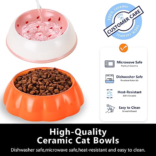 Cat Food Plate Cat Food Bowls Ceramic Shallow Whisker Friendly Cat